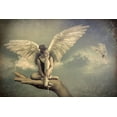 thumbnail image 2 of Jos, Peeters 18x13 White Modern Wood Framed Museum Art Print Titled - Spread Your Wings, 2 of 4