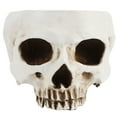 thumbnail image 4 of LAFGUR Resin Skull-Shaped Flower Pot Succulent Planter Container Ornament ND, 4 of 8