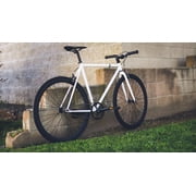 Golden Cycles Single Speed Fixie Bike – Lightweight Steel Frame, Flip-Flop Hub, 700c Wheels, Multiple Sizes & Deep V Rims (Shocker, 55)