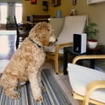 thumbnail image 5 of Lentek Smartphone-Controlled Pet Treat Dispenser with Camera and Two-Way Communication, WiFi-Enabled Programmable Treat Dispenser, 10 oz. Capacity, for Cats, Dogs, Rabbits, and more, 5 of 14