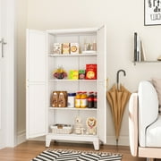 Erosoei Contemporary Metal Storage Cabinet with 2 Doors and 3 Adjustable Shelves, 47.3H