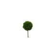 thumbnail image 5 of A&B Home Artificial Plants - Artificial Boxwood Topiary Tree, Artificial Ball Shaped Tree w/Black Pulp Pot for Home D√©cor Indoor,Set of 3 Faux Tabletop Plant, 11" x 4" x 10", 5 of 7