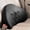 Dark Gray, variant on KQJQS Car Lumbar Support Pillow for Driver's Seat, Driving Comfort Back Support Cushion for Car, Car Lumbar Pillow