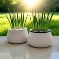 thumbnail image 2 of Hydroponic Garlic & Chives Growing Kit – 3D Printed Planter Box, Soil‑Free Indoor Herb Garden, 2 of 7