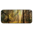 thumbnail image 2 of Fenyluxe Trees Grass Sunlight Outdoor Doormat for Home Entrance Outside Entryway Indoor Outdoor Yard Patio Floor - Burlap Felt Material with Anti-Slip Recycled Rubber Backing 19.68*47.24 in, 2 of 6
