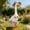 H, variant on Orangide Lawn Goose Outfit, 23 Inch Goose Costume with Fun and Cute Design, Outdoor Garden and Patio Decoration, Seasonal Lawn Goose Display, Festive Summer Spring Goose Clothes