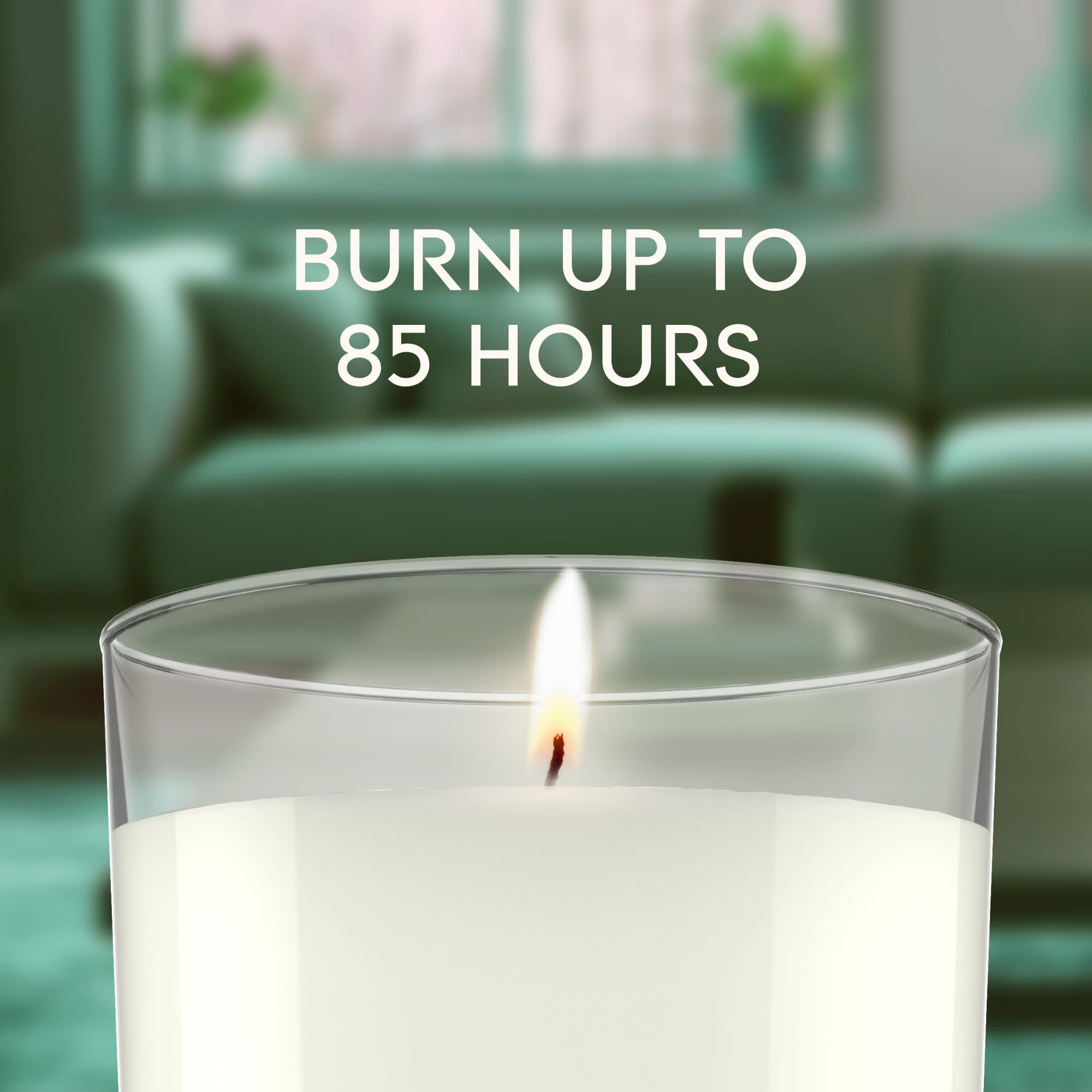 Glade Large Jar Scented Candle, Wintery Balsam Fir, 16 oz, Burning time: Up to 85 hours