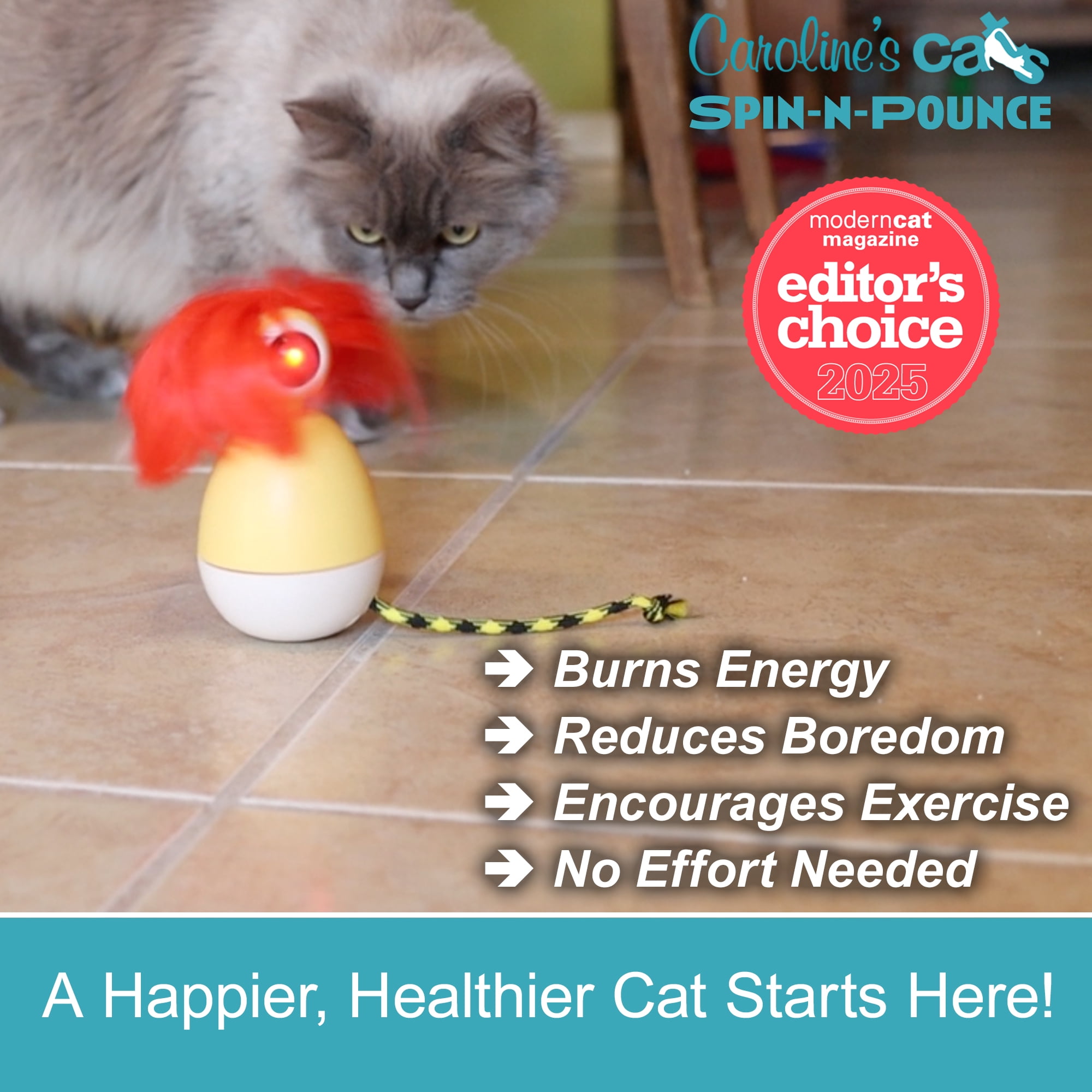 Caroline’s Cats Spin-N-Pounce Rechargeable Automatic Cat Toy, Motion Activated 360° Spinning Toy for Indoor Cats, Self Play Exercise & Enrichment Toy for Bored Cats