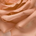 thumbnail image 4 of Perfume ABEL Nurture Mini Eau de Parfum, 6 ml, 100% natural, 4 of 4