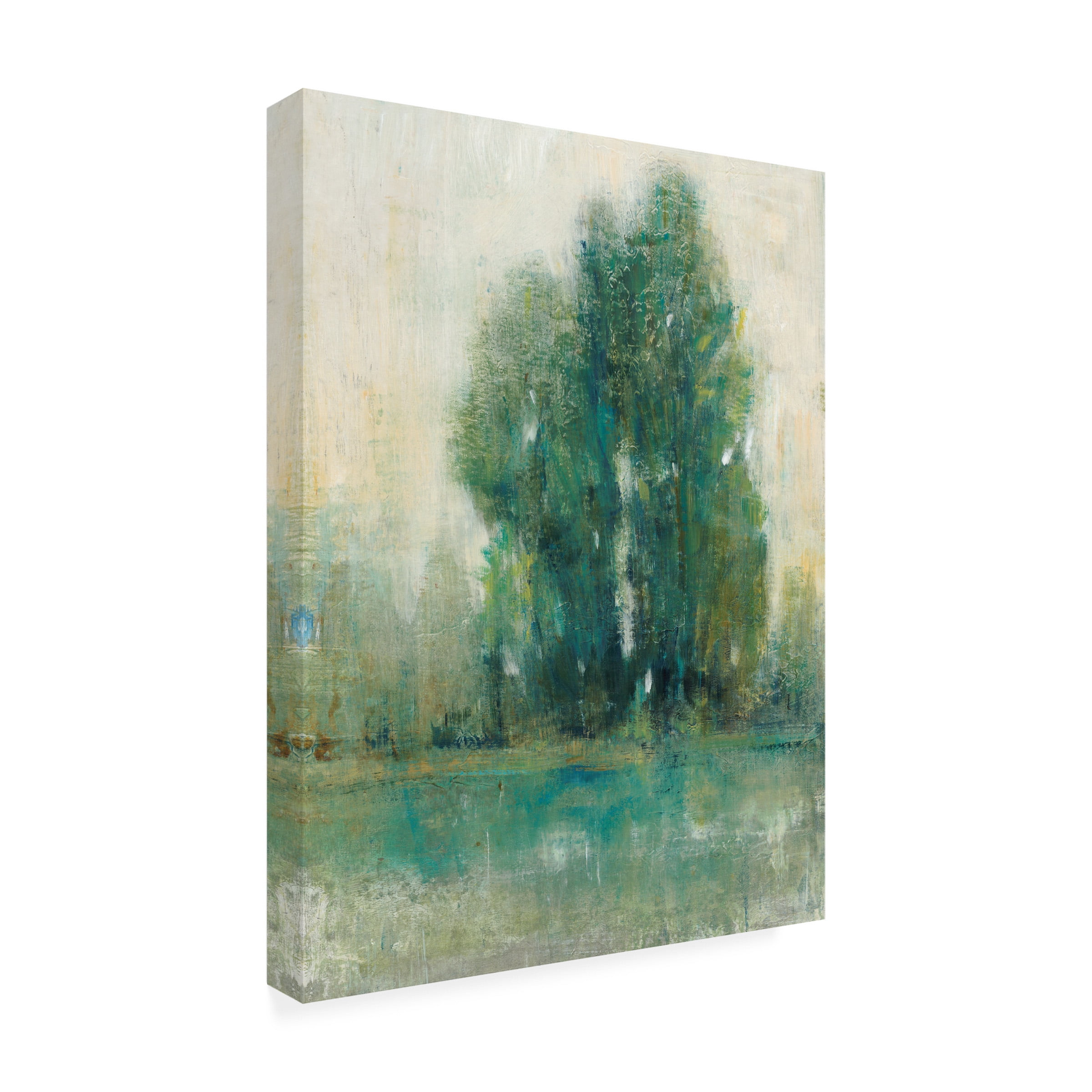 Tim O Toole 'Spring Paysage II' Canvas Art