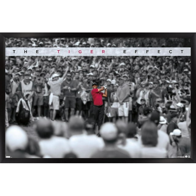 Tiger Woods - L'effet tigre