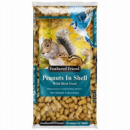 3 lbs Shell Peanuts Food