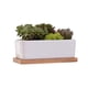 thumbnail image 1 of 2 piezas maceta para plantas suculentas, 1 of 3
