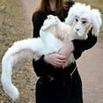 thumbnail image 1 of Poupée Dragon Porte-Bonheur Falkor. Poupée Dragon Blanche Histoire Sans Fin. Peluche Dragon Mignonne, 1 of 6