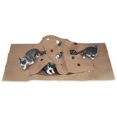 thumbnail image 3 of Cat Toy Training Mat Durable Cat Agility Training Mat Cat Toy Bite Pad, 3 of 3