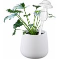 thumbnail image 4 of Cristalería, riego, bebedero automático esférico con forma de hongo, 2 paquetes de bombillas de riego para plantas de interior y exterior, 4 of 5