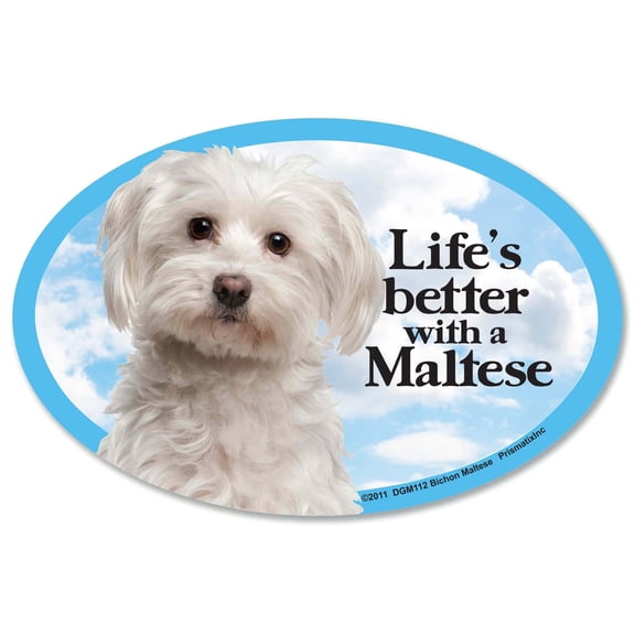Prismatix Maltese Oval Dog Magnet – 6 x 4 in, Full Color