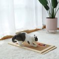 thumbnail image 2 of BESTSKY 3Pcs Cat Toy,Soft Cotton Fabric Interactive Cat Toys for Indoor Cats,Resistant to Biting Kitten Toys,Red,24cm, 2 of 5