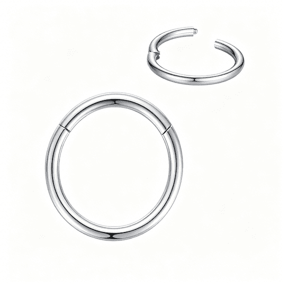 DESIGNICE 316L Surgical Steel Nose Rings Hoop Septum Clicker Hinged Segment Ring Lip Ear Piercing Earrings for Cartilage Helix Tragus Conch Rook 20g 18g 16g 14g 12g 10g 8g,Inner Diameter 5mm to 22mm