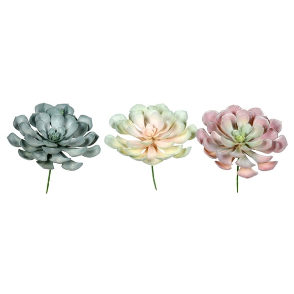 Vickerman 9.5" Peperomia Succulent Asst 3/Pk - FV192809