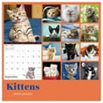 thumbnail image 3 of TF Publishing 2026 Kittens Mini Calendar - Gloss Paper, 3 of 5