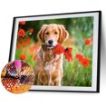 thumbnail image 1 of Kits de pintura de diamante 5D DIY Wdftyju Cuadro de mosaico de cachorro de Taladro redondo completo E1045, 1 of 8