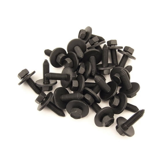 Brothers Trucks DHB0072 Door Hinge Bolts - Set Of 12 - One Door