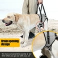 thumbnail image 5 of Dog Lifting Harness,Dog Hind Legs Support Strap, Pet Portable Recovery Walking Training Lift Strap with Handle for Elderly Injured Amputation Disabled Dogs L, 5 of 7