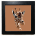 thumbnail image 1 of Giraffe Lateral Horn Neck Black Square Frame Picture Wall Tabletop, 1 of 3