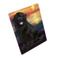 thumbnail image 1 of Newfoundland Dog Blanket BLNKT92469, 1 of 3