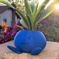 thumbnail image 5 of Oddish Pokemon Azul Pequeña Maceta Suculenta Maceta brillar  Electrónica, 5 of 5