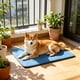 thumbnail image 1 of Alfombrilla refrescante para perros y gatos, lavable, con base antideslizante, almohadilla de hielo portátil para aliviar el calor, múltiples tamaños, uso en interiores y exteriores., 1 of 6