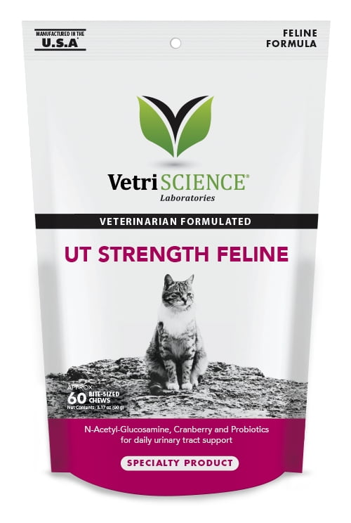 cat uti medicine walmart