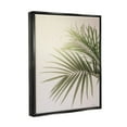 thumbnail image 3 of Stupell Industries Minimal Palm Leaves Sunlit Tropical House Plant Photograph Jet Black Floating Framed Canvas Print Wall Art, Design by Jennifer Rigsby, 3 of 5