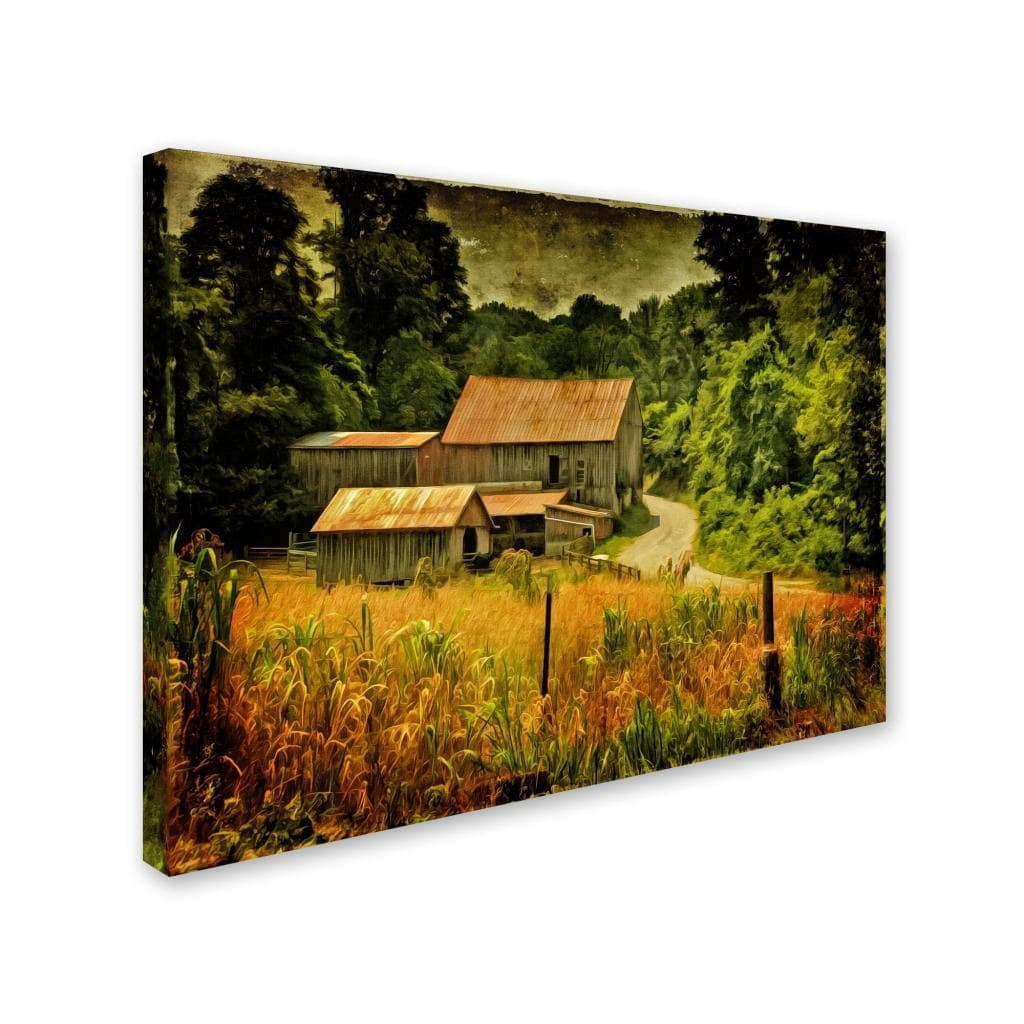 Trademark Fine Art "Country Road In Summer" Canvas Art by Lois Bryan