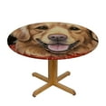 thumbnail image 3 of RUIYC Fitted Tablecloth for Round Table,Christmas Golden Retriever Dog Wreath Bowknot Table Cover with Elastic Edge Waterproof Table Cloth,Retro Red White Circle Table Covers for Kitchen, 3 of 7