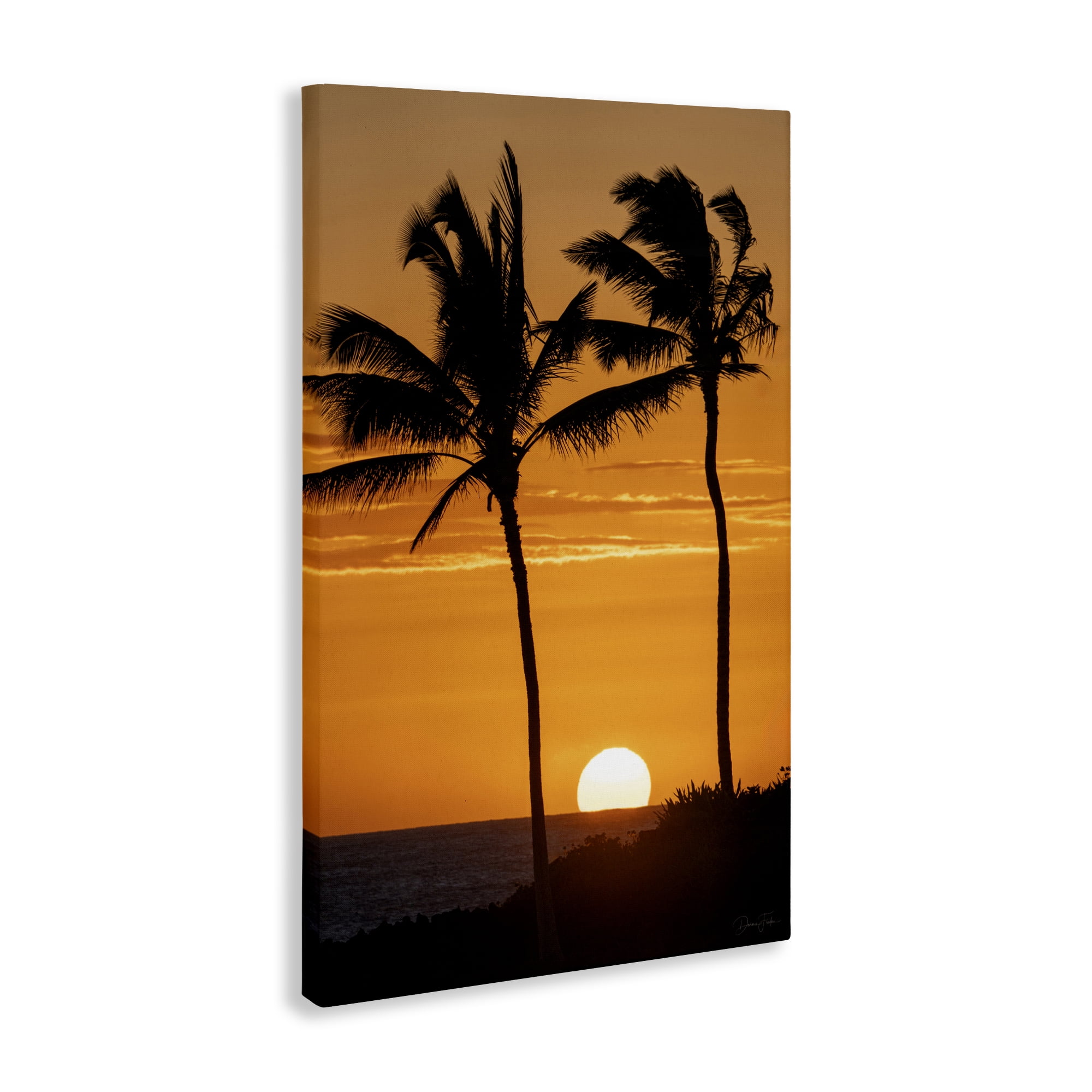 Stupell Industries Sunset Through Palm Trees Canvas Wall Art, design by Dennis Frates