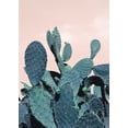 thumbnail image 2 of Braun Studio 18x24 White Modern Wood Framed Museum Art Print Titled - Cactus Raquettes, 2 of 4