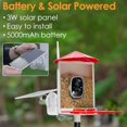 thumbnail image 6 of Birdkiss Smart Bird Feeder with Camera, Metal Squirrel Proof Bird Watching Cameras with AI Identification & Solar Panels, Gifts for Bird Lovers, Red, 6 of 9