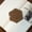 Brown, variant on Handcrafted by artisans. 6 Pack Embroidered coasters, lacquered fabric, hand-woven textiles, heat insulation pads, tea pot pads, cup holders.