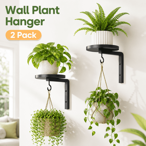 MORAVE 2Pcs Modern Metal Wall Mounted Plant Hangers Shelves, Floating Flower Display Stand with 2 Hooks Indoor Outdoor Window Plant Holders for Kitchen Bathroom Decor