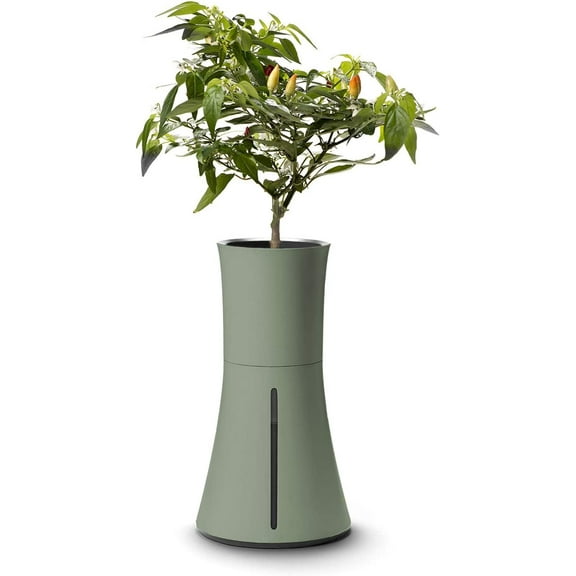 Botanium Hydroponic and Automatic Indoor Gardening Pot, Green