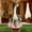 🔥 Multicolor, variant on Sentmoon Rose Goose Outfit Costume Decorative Porch Garden Cement Plastic Statues Creative Outdoor Lawn Ornament Waterproof Animal Figure Funny Holiday Accessories Yard Unique Style