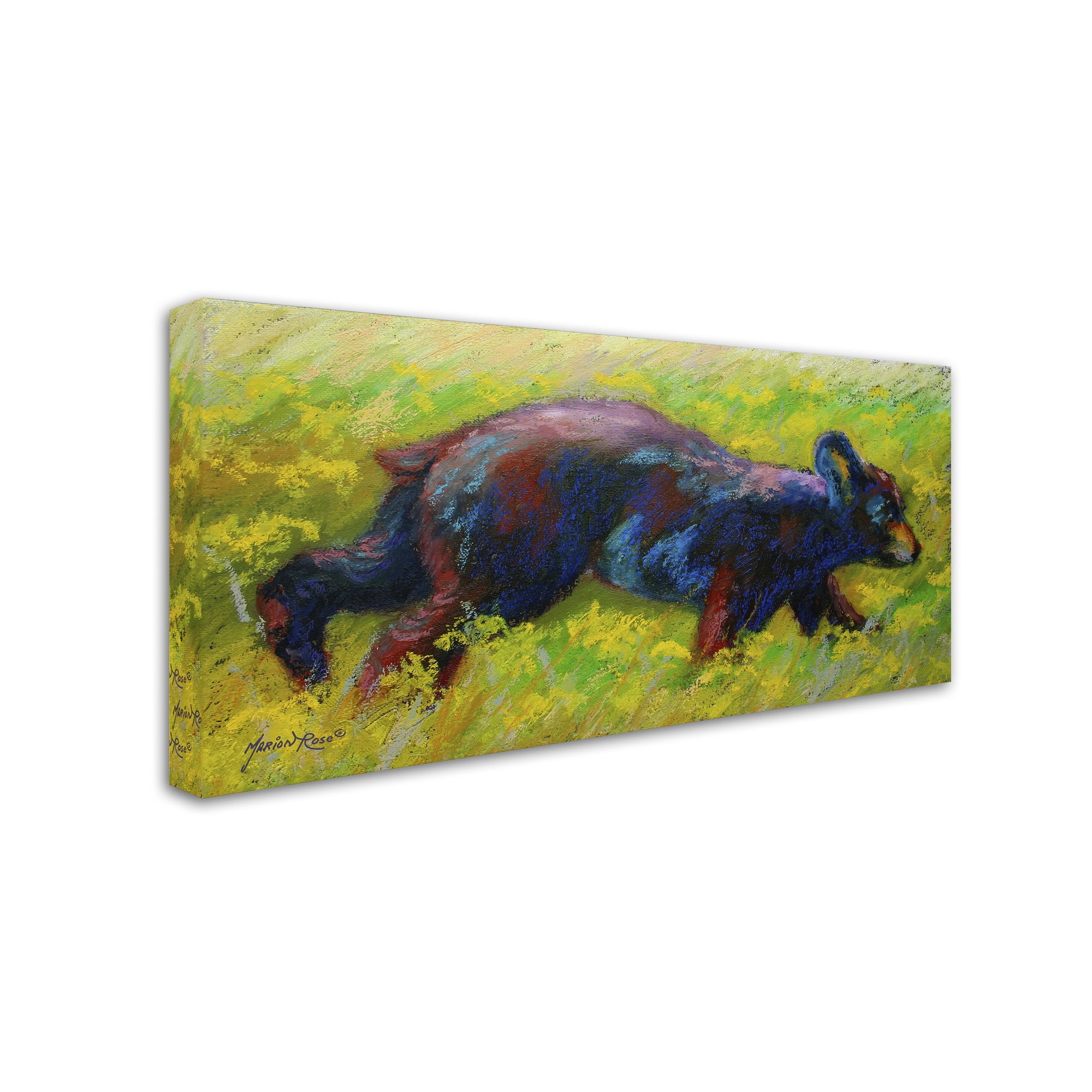 Trademark Fine Art 'Run Free Cub' Canvas Art by Marion Rose