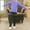 Purple, variant on Liyamei Girls Yoga Girls Athletic Leggings Training Set Kids Gym Top Activewear Set Girls Casual Sets Size Gray 3-4 Years
