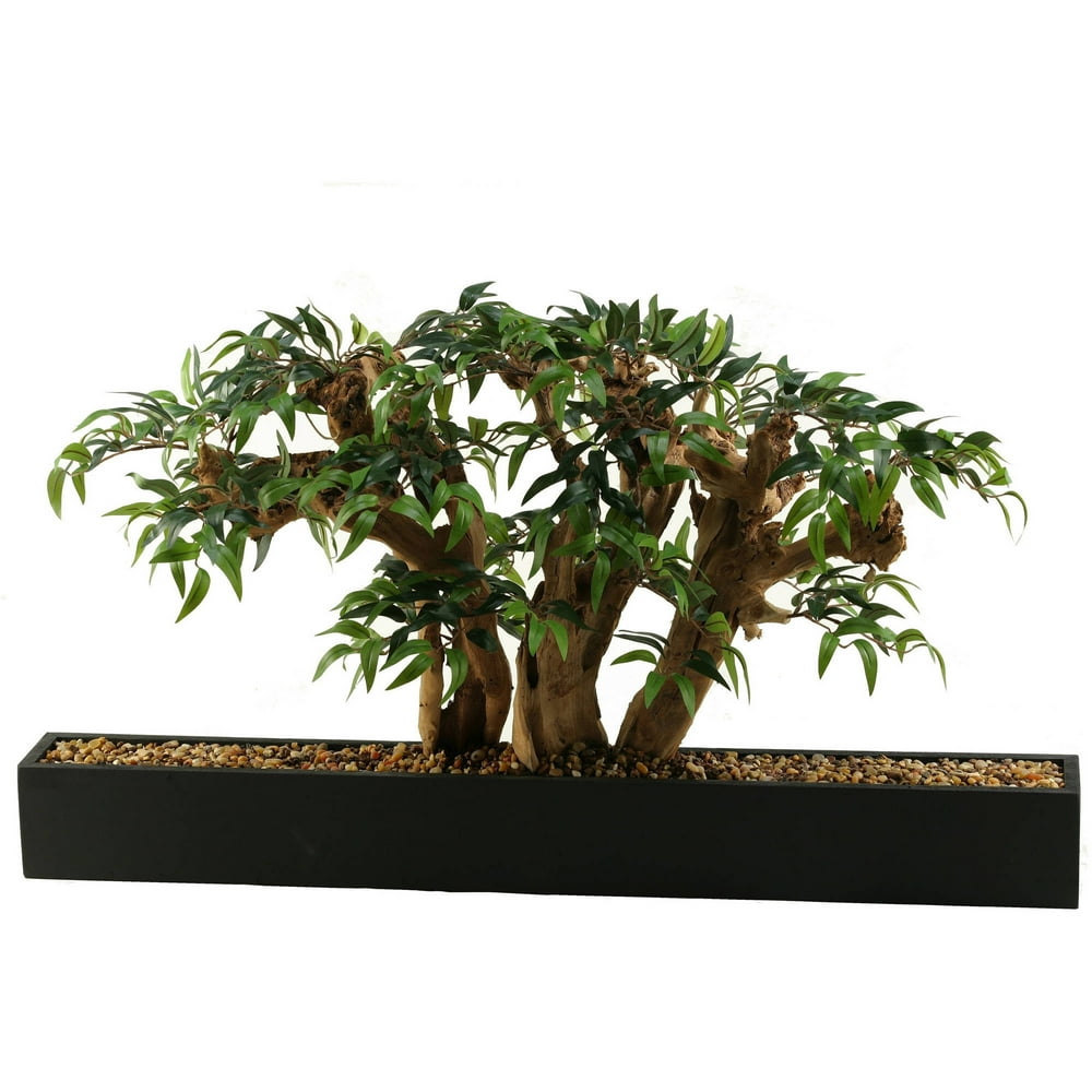 D&W Silks Ruscus Bonsai Tree in Long Rectangle Planter