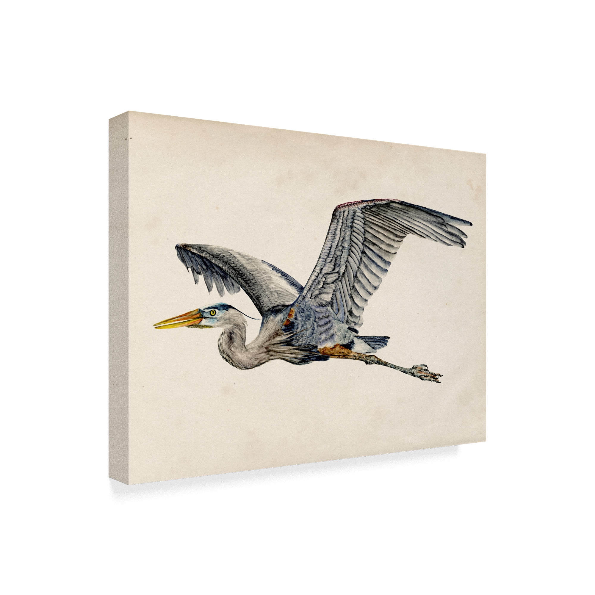 Trademark Fine Art 'Blue Heron Rendering III' Canvas Art by Melissa Wang