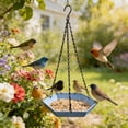 thumbnail image 5 of Hanging Bird Bath Feeder Food Tray Birds Feeds for Feeding Hummingbird, Bluebird, Cardinal, Squirrels, Doves, Seed Holder, Outside Outdoor Garden Decoration for Attracting Wild Birds, 5 of 6