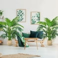 thumbnail image 6 of WORTH 4ft Artificial Areca Palm Plant 2 Packs in Pot, Lifelike Faux Silk Plant for Home Decor, Includes Two Linen Bags & 20g Dry Moss, Perfect Indoor Artificial Palm Tree, 6 of 6