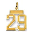 thumbnail image 2 of 14k Yellow Gold Small Satin Number 29 Charm Pendant, 2 of 3